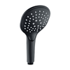 Shower Head And Hand Held Shower