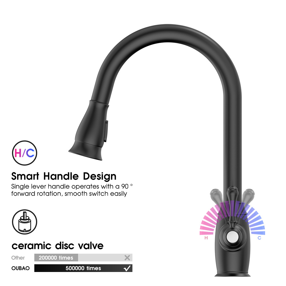 kitchen faucet with pull down sprayer