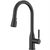 Commercial Style 2-Function Pull-Down 1-Handle 1-Hole Kitchen Faucet