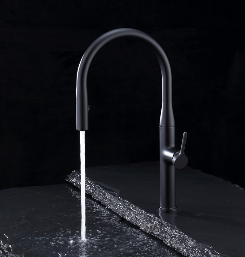 kitchen faucet with pull-out spray