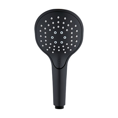 Shower Head And Hand Held Shower