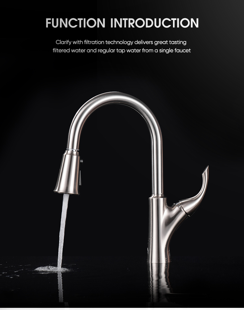 Kitchen Filter Faucet