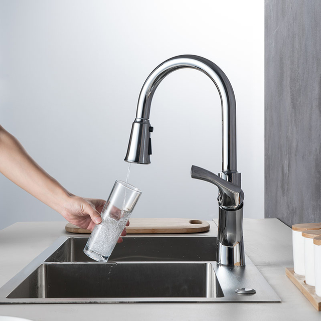 Kitchen Faucet Water Filter Single Handle Water Filter In Brushed