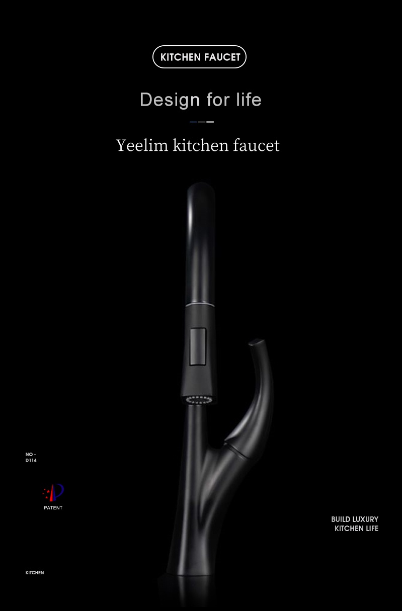 Matte Black Kitchen Facuet