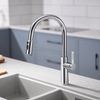 Yeelim Pull Down Single Handle Kitchen Faucet With Accessories