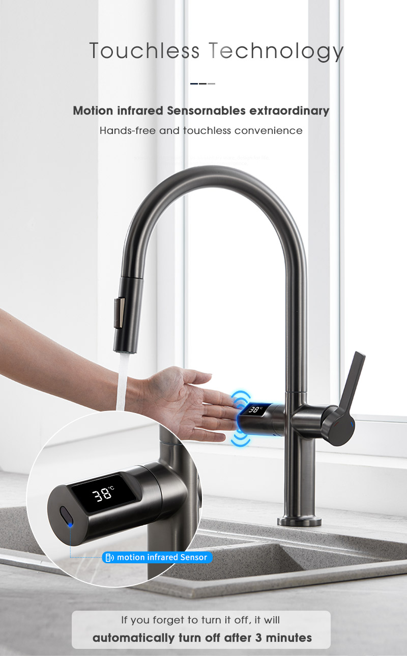 Kitchen Faucet