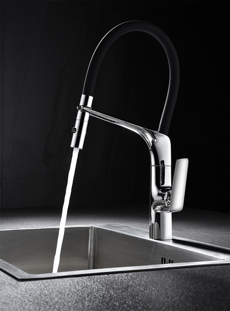 kitchen faucet with sprayer