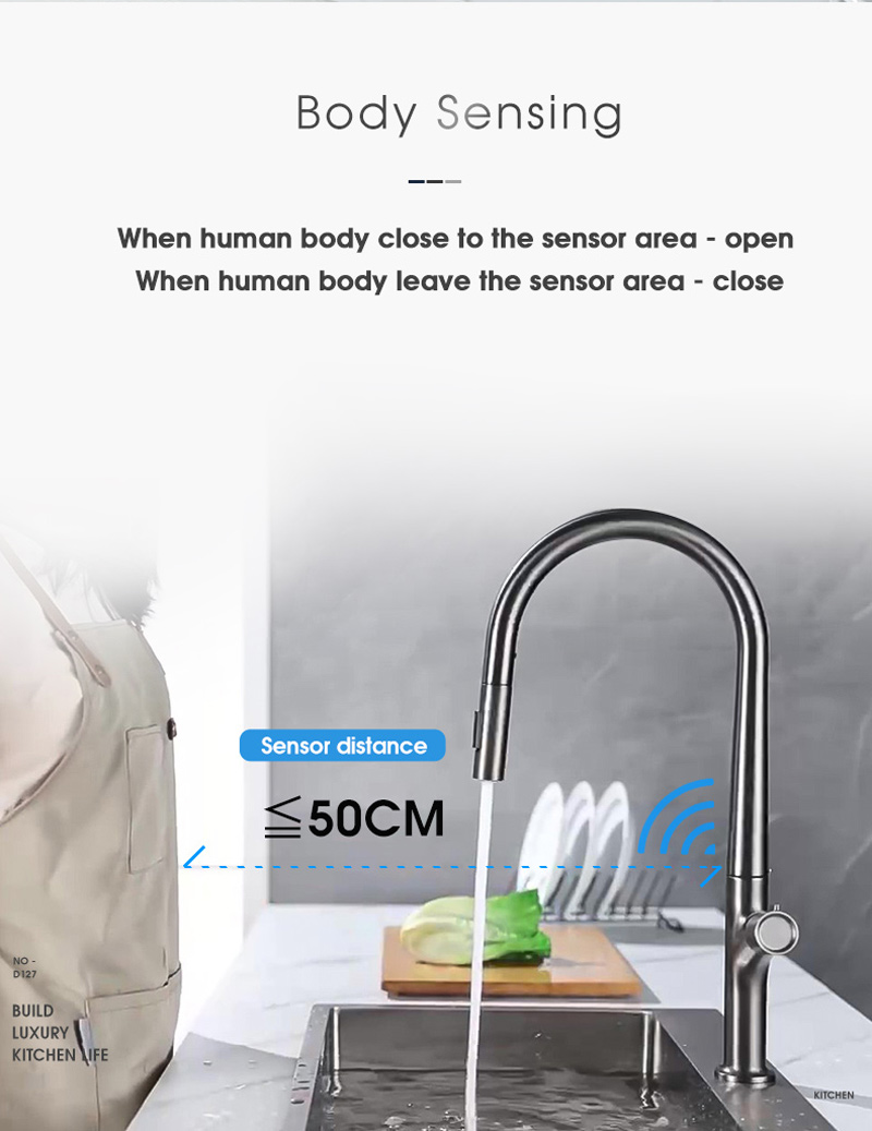 kitchen faucet with pull down