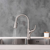 Yeelim Kitchen Filter Faucet In Brushed With 3 Function Pull-Down Sprayer